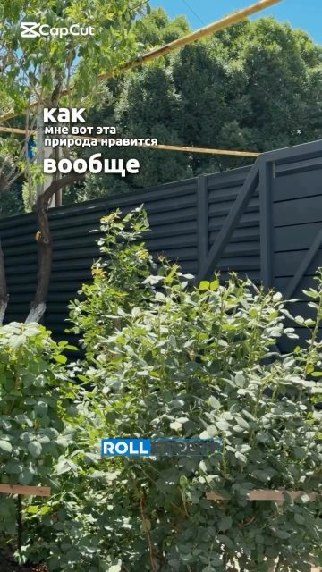 Связаться с нами:
+7 701 072 5005
Весь ассортимент продукции представлен по адресу:
Г. Алматы, ул. Бродского 37Б
#заборы #рольставни #производствоАлматы